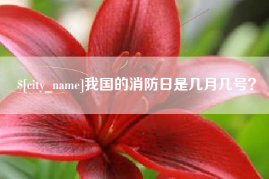 南阳我国的消防日是几月几号？