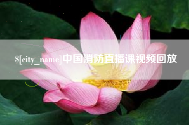 南阳中国消防直播课视频回放