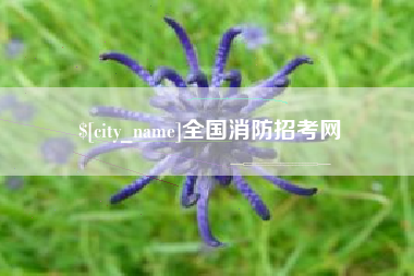 南阳全国消防招考网