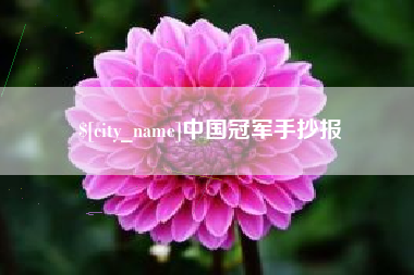 南阳中国冠军手抄报