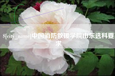 南阳中国消防救援学院山东选科要求