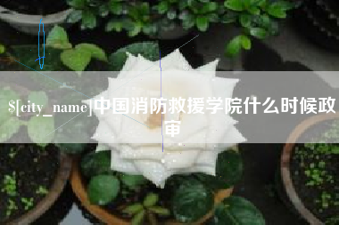 南阳中国消防救援学院什么时候政审