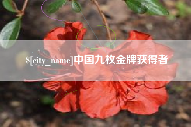 南阳中国九枚金牌获得者