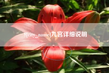 南阳九宫详细说明