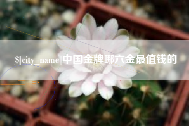 南阳中国金牌哪六金最值钱的