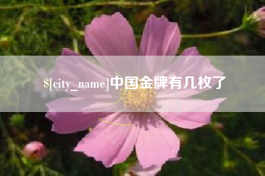 南阳中国金牌有几枚了