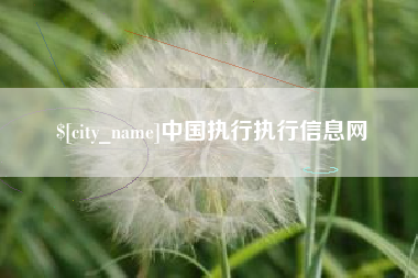 南阳中国执行执行信息网