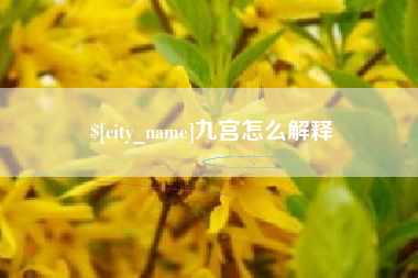 南阳九宫怎么解释