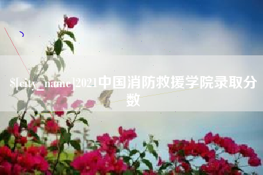 南阳2021中国消防救援学院录取分数