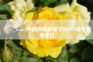 南阳中国消防救援学院2020高考报考条件