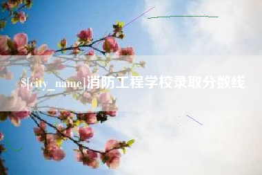 南阳消防工程学校录取分数线