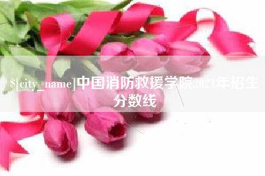 南阳中国消防救援学院2021年招生分数线