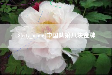 南阳中国队第八块金牌