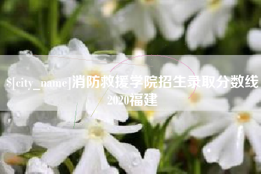 南阳消防救援学院招生录取分数线2020福建