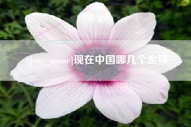 南阳现在中国哪几个金牌