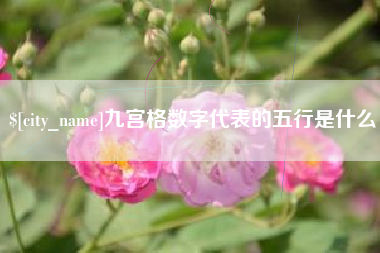 南阳九宫格数字代表的五行是什么