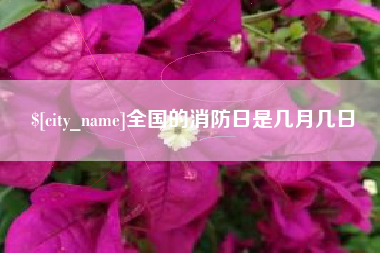 南阳全国的消防日是几月几日