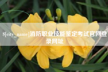 南阳消防职业技能鉴定考试官网登录网址