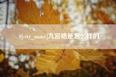 南阳九宫格是怎么样的