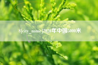 南阳2020年中国5000米