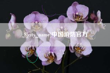 南阳中国消防官方