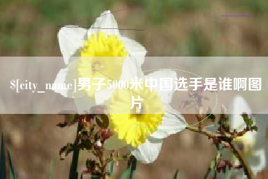 南阳男子5000米中国选手是谁啊图片