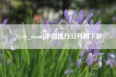 南阳中国执行公开网下载