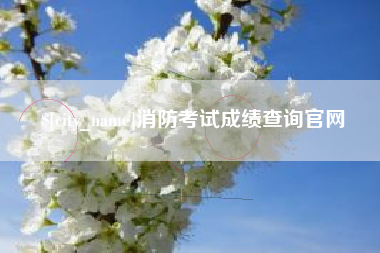 南阳消防考试成绩查询官网