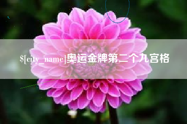 南阳奥运金牌第二个九宫格