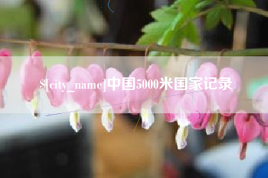 南阳中国5000米国家记录