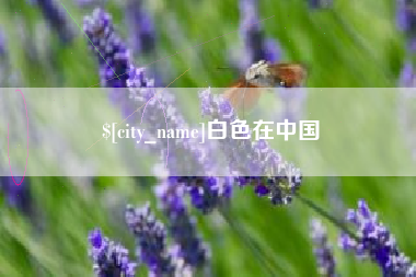 南阳白色在中国