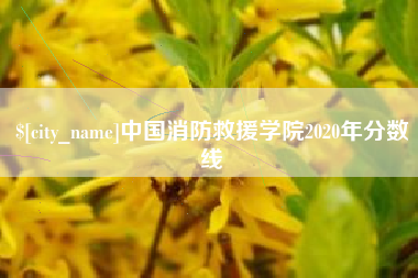 南阳中国消防救援学院2020年分数线