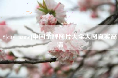 南阳中国金牌图片大全大图真实高清