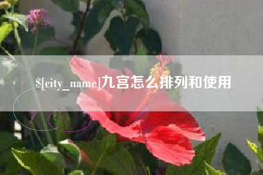 南阳九宫怎么排列和使用