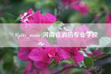 南阳河南省消防专业学校