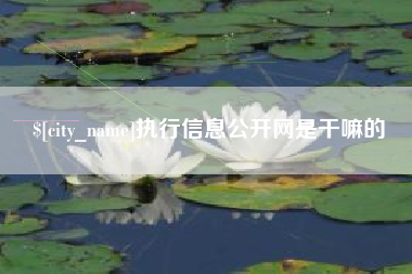 南阳执行信息公开网是干嘛的