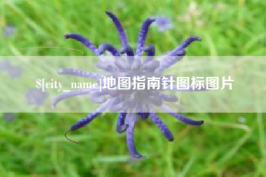 南阳地图指南针图标图片