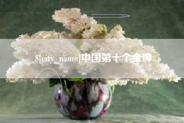 南阳中国第十个金牌