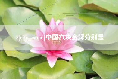 南阳中国六块金牌分别是