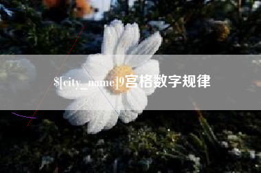 南阳9宫格数字规律