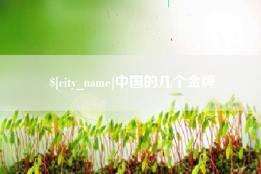 南阳中国的几个金牌