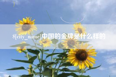 南阳中国的金牌是什么样的
