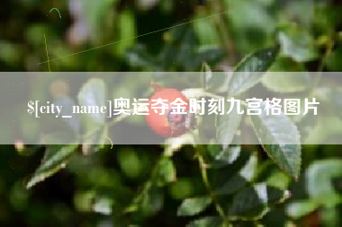 南阳奥运夺金时刻九宫格图片