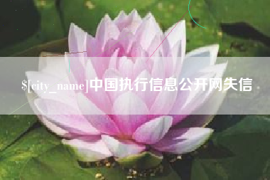南阳中国执行信息公开网失信