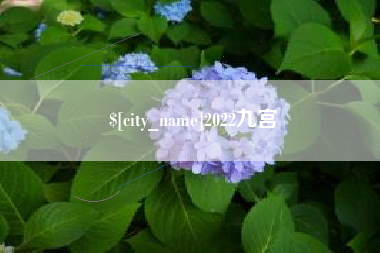 南阳2022九宫