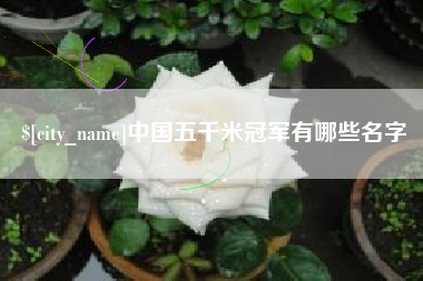 南阳中国五千米冠军有哪些名字