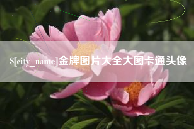 南阳金牌图片大全大图卡通头像