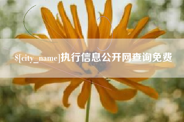 南阳执行信息公开网查询免费