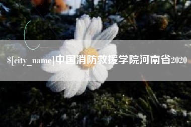 南阳中国消防救援学院河南省2020